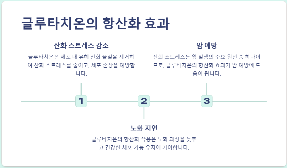 글루타치온의 항산화 효